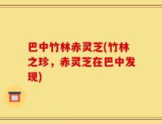 巴中竹林赤灵芝(竹林之珍，赤灵芝在巴中发现)