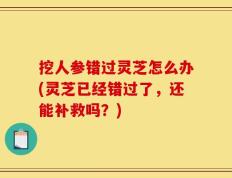 挖人参错过灵芝怎么办(灵芝已经错过了，还能补救吗？)