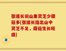 张道长说山里灵芝少蘑菇多(张道长指出山中灵芝不足，蘑菇生长旺盛)