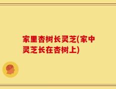 家里杏树长灵芝(家中灵芝长在杏树上)