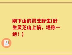 刚下山的灵芝野生(野生灵芝山上摘，堪称一绝！)