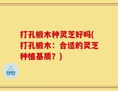 打孔椴木种灵芝好吗(打孔椴木：合适的灵芝种植基质？)