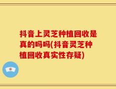 抖音上灵芝种植回收是真的吗吗(抖音灵芝种植回收真实性存疑)