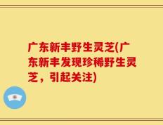 广东新丰野生灵芝(广东新丰发现珍稀野生灵芝，引起关注)