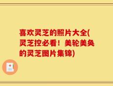 喜欢灵芝的照片大全(灵芝控必看！美轮美奂的灵芝图片集锦)