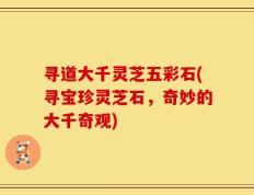 寻道大千灵芝五彩石(寻宝珍灵芝石，奇妙的大千奇观)