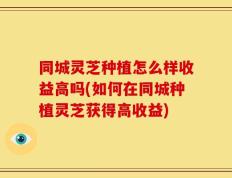 同城灵芝种植怎么样收益高吗(如何在同城种植灵芝获得高收益)