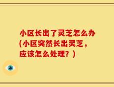 小区长出了灵芝怎么办(小区突然长出灵芝，应该怎么处理？)