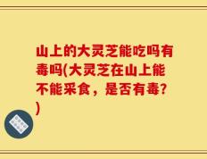 山上的大灵芝能吃吗有毒吗(大灵芝在山上能不能采食，是否有毒？)