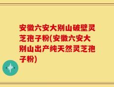 安徽六安大别山破壁灵芝孢子粉(安徽六安大别山出产纯天然灵芝孢子粉)