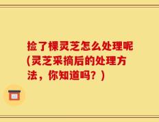 捡了棵灵芝怎么处理呢(灵芝采摘后的处理方法，你知道吗？)