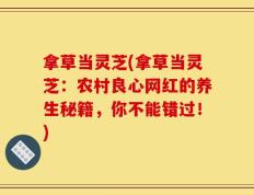 拿草当灵芝(拿草当灵芝：农村良心网红的养生秘籍，你不能错过！)