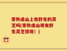 常熟虞山上有野生的灵芝吗(常熟虞山现有野生灵芝惊现！)