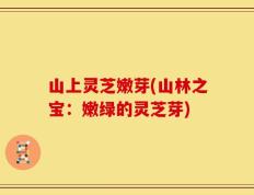 山上灵芝嫩芽(山林之宝：嫩绿的灵芝芽)