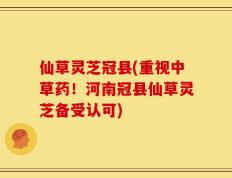 仙草灵芝冠县(重视中草药！河南冠县仙草灵芝备受认可)
