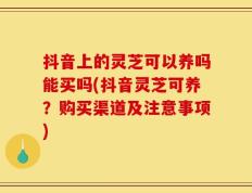 抖音上的灵芝可以养吗能买吗(抖音灵芝可养？购买渠道及注意事项)