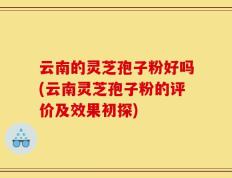 云南的灵芝孢子粉好吗(云南灵芝孢子粉的评价及效果初探)