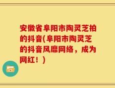 安徽省阜阳市陶灵芝拍的抖音(阜阳市陶灵芝的抖音风靡网络，成为网红！)