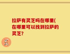 拉萨有灵芝吗在哪里(在哪里可以找到拉萨的灵芝？