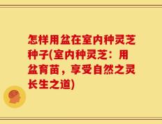 怎样用盆在室内种灵芝种子(室内种灵芝：用盆育苗，享受自然之灵长生之道)