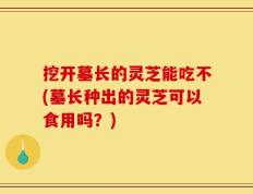 挖开墓长的灵芝能吃不(墓长种出的灵芝可以食用吗？)
