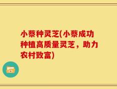 小蔡种灵芝(小蔡成功种植高质量灵芝，助力农村致富)