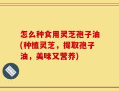 怎么种食用灵芝孢子油(种植灵芝，提取孢子油，美味又营养)