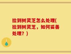 捡到树灵芝怎么处理(捡到树灵芝，如何妥善处理？)