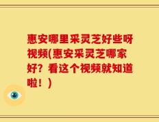 惠安哪里采灵芝好些呀视频(惠安采灵芝哪家好？看这个视频就知道啦！)