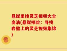悬崖里找灵芝视频大全高清(悬崖探险：寻找岩壁上的灵芝视频集锦)
