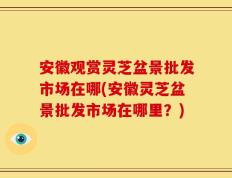 安徽观赏灵芝盆景批发市场在哪(安徽灵芝盆景批发市场在哪里？)