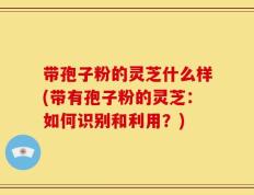 带孢子粉的灵芝什么样(带有孢子粉的灵芝：如何识别和利用？)
