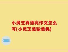 小灵芝真漂亮作文怎么写(小灵芝美轮美奂)