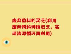 废弃菌料的灵芝(利用废弃物料种植灵芝，实现资源循环再利用)
