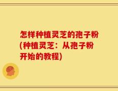怎样种植灵芝的孢子粉(种植灵芝：从孢子粉开始的教程)