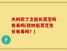 大树砍了之后长灵芝吗有毒吗(砍树后灵芝生长有毒吗？)