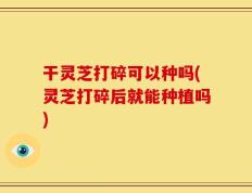 干灵芝打碎可以种吗(灵芝打碎后就能种植吗)