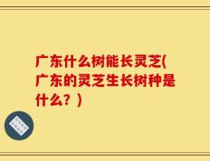 广东什么树能长灵芝(广东的灵芝生长树种是什么？)