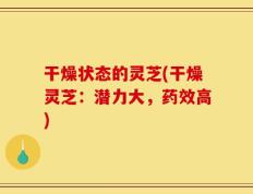干燥状态的灵芝(干燥灵芝：潜力大，药效高)