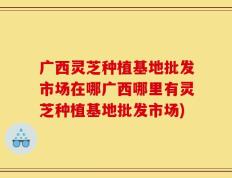 广西灵芝种植基地批发市场在哪广西哪里有灵芝种植基地批发市场)