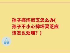 孙子摔坏灵芝怎么办(孙子不小心摔坏灵芝应该怎么处理？)