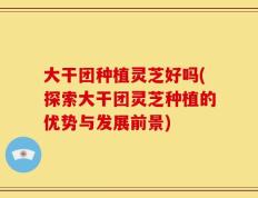 大干团种植灵芝好吗(探索大干团灵芝种植的优势与发展前景)
