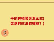 干的种植灵芝怎么吃(灵芝的吃法有哪些？)