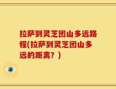 拉萨到灵芝团山多远路程(拉萨到灵芝团山多远的距离？)