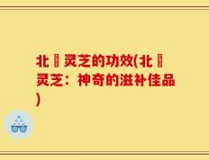 北茋灵芝的功效(北茋灵芝：神奇的滋补佳品)
