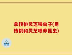 拿核桃灵芝喂虫子(用核桃和灵芝喂养昆虫)
