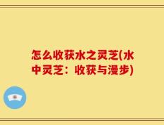 怎么收获水之灵芝(水中灵芝：收获与漫步)