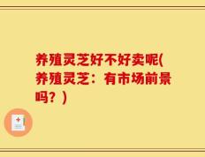 养殖灵芝好不好卖呢(养殖灵芝：有市场前景吗？)
