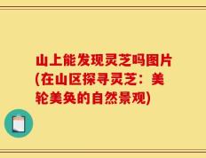 山上能发现灵芝吗图片(在山区探寻灵芝：美轮美奂的自然景观)