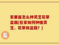 家里面怎么种灵芝花草盆栽(在家如何种植灵芝、花草和盆栽？)